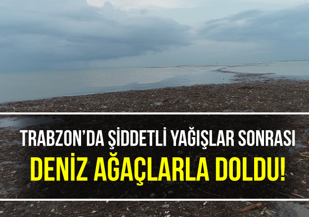 Trabzon'da Åiddetli yaÄÄ±Ålar sonrasÄ± deniz aÄaÃ§larla doldu!