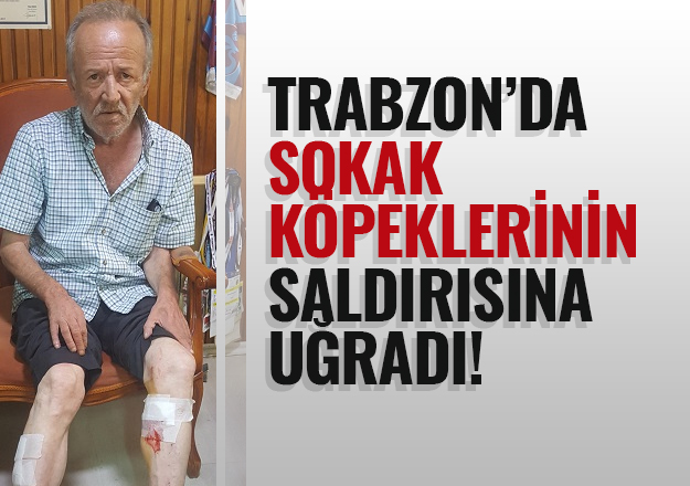 Trabzon'da sokak köpeklerinin saldırısına uğradı!