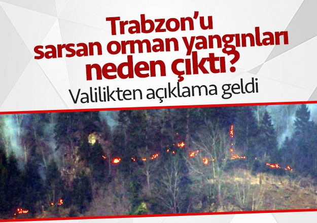 Trabzon'da orman yangınları neden çıktı? Valilikten açıklama geldi