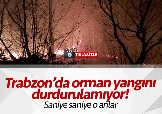 Trabzon'da orman yangını durdurulamıyor!
