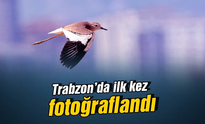 Φωτογραφήθηκε για πρώτη φορά στο Trabzon
