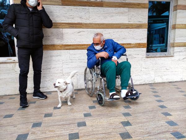Trabzon'da sahibi tedavi gören köpek, 5 gündür hastane kapısında bekliyor!